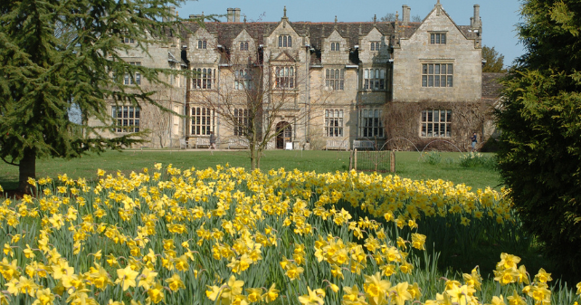 Explore our wild botanic garden in the heart of Sussex, home to the Millennium Seed Bank, over 500 acres of diverse landscapes and plants from across the globe.